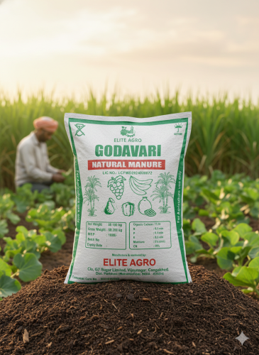 Gemini_Generated_Image_8zp0308zp0308zp0